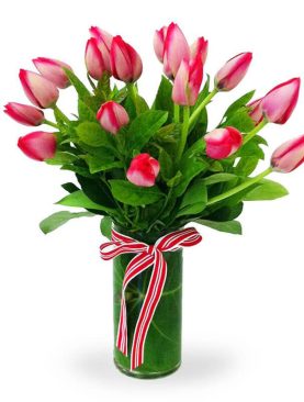 Vase Arrangement of Orchids
